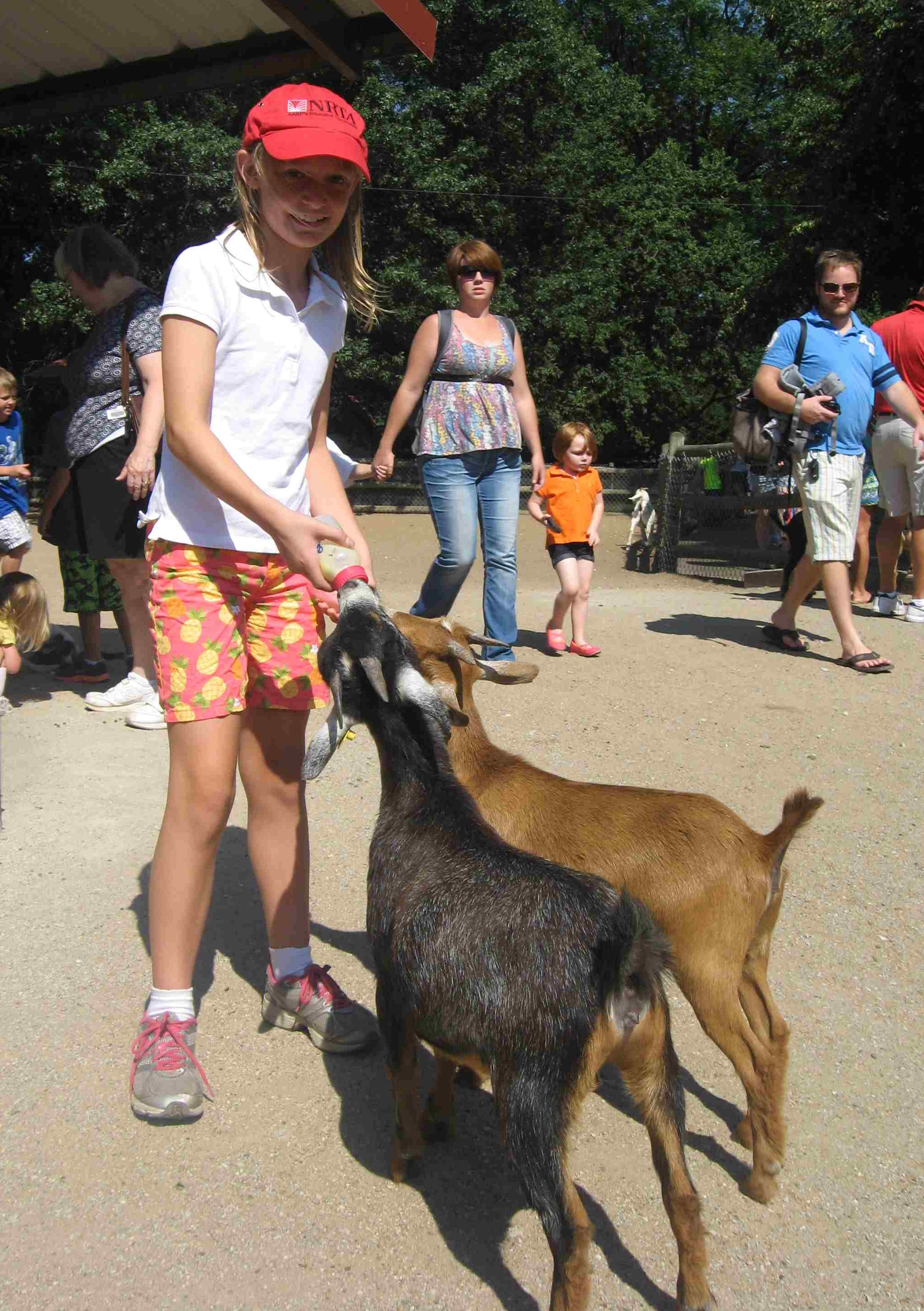 2013-08-10 Grant's Farm Cate with goats.jpg